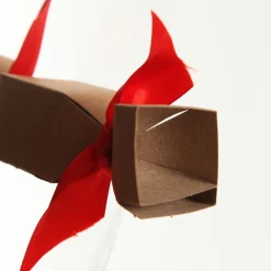 Blank Craft Christmas Bon Bons - Pack of 10 Christmas Craft Supplies|