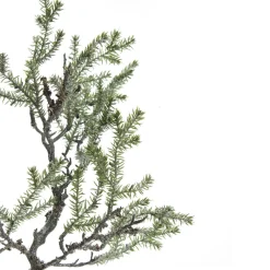 Cedar Branch Spray Christmas Sprays|