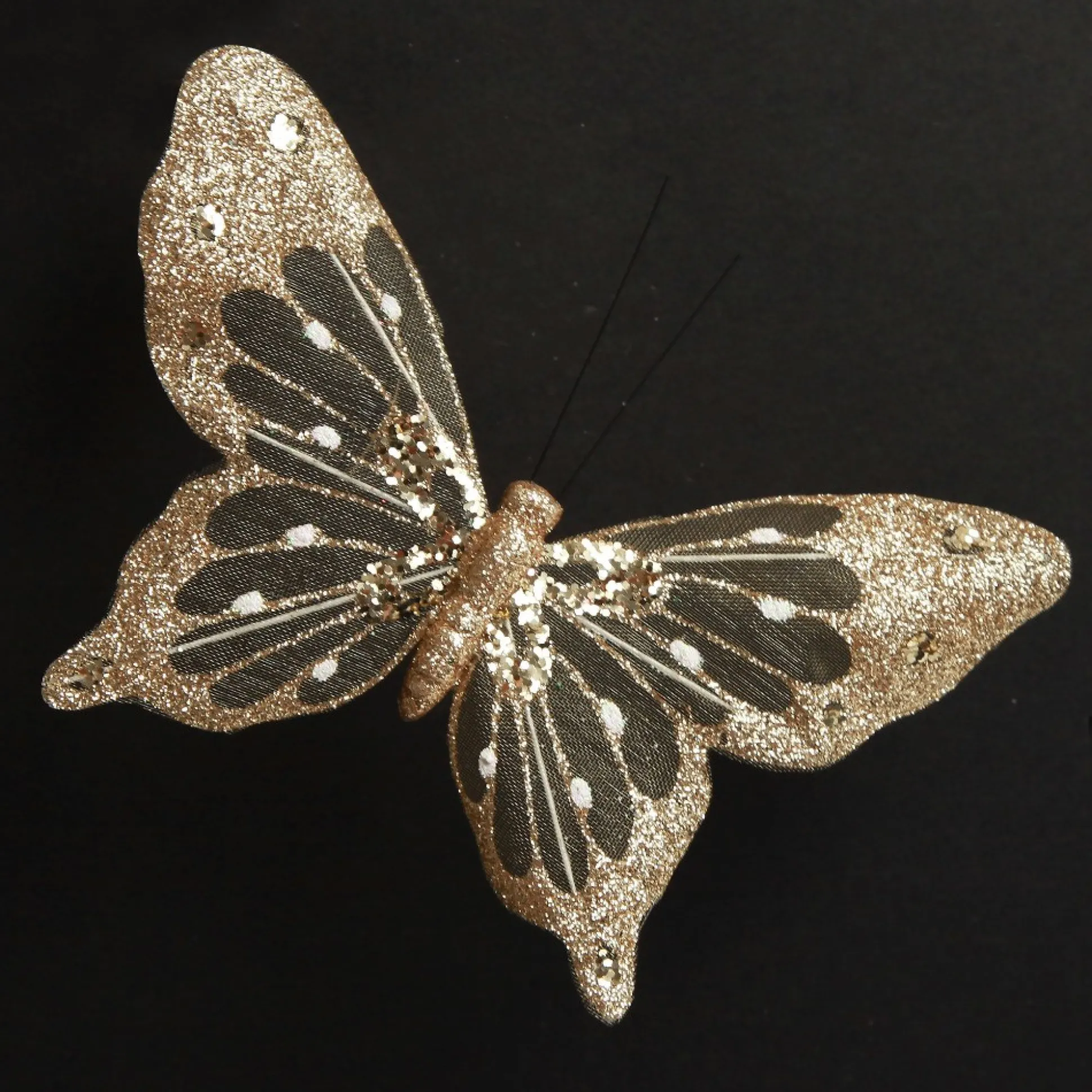 Champagne and Gold Butterfly Clip Butterflies And Birds|