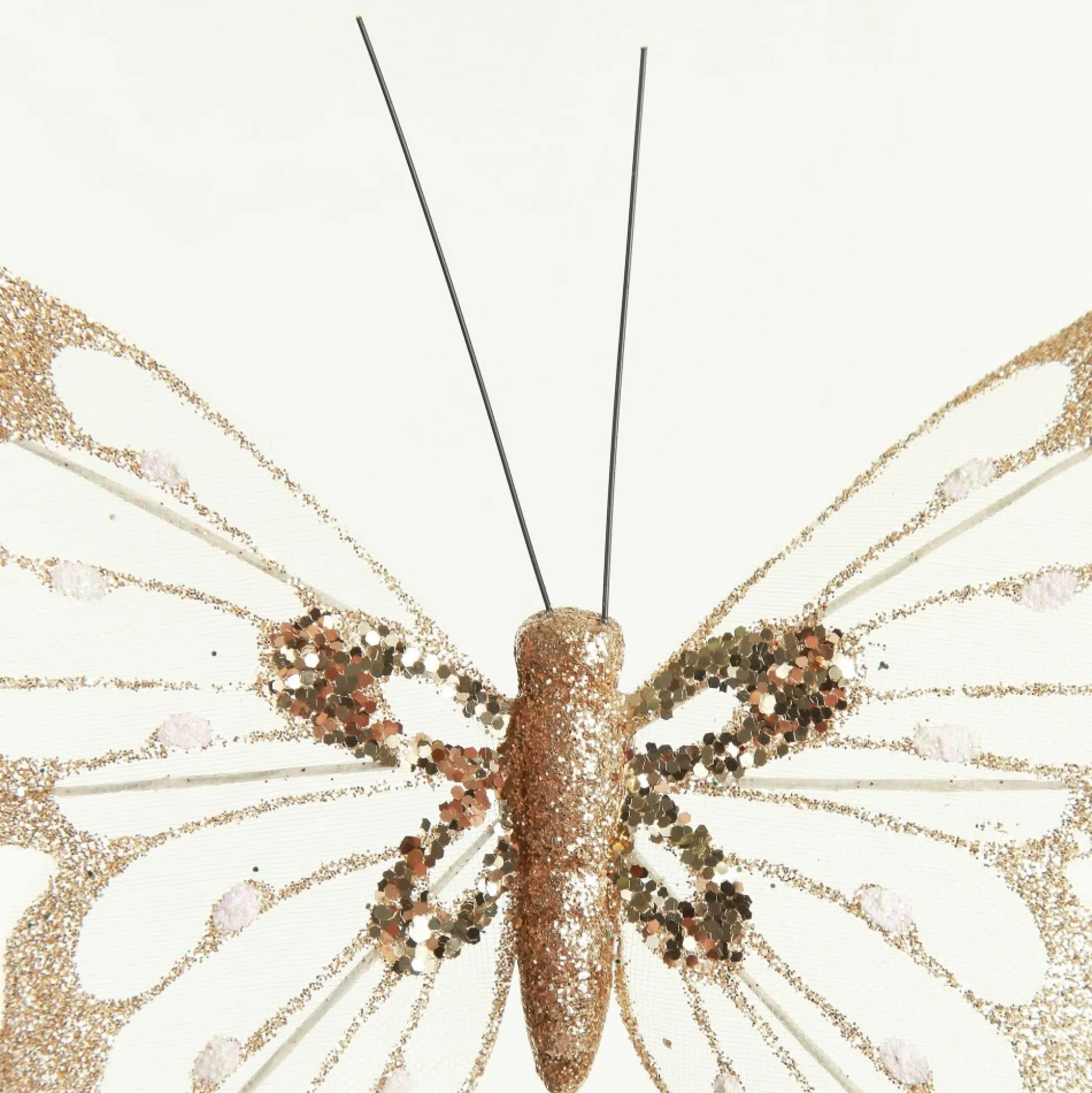 Champagne and Gold Butterfly Clip Butterflies And Birds|