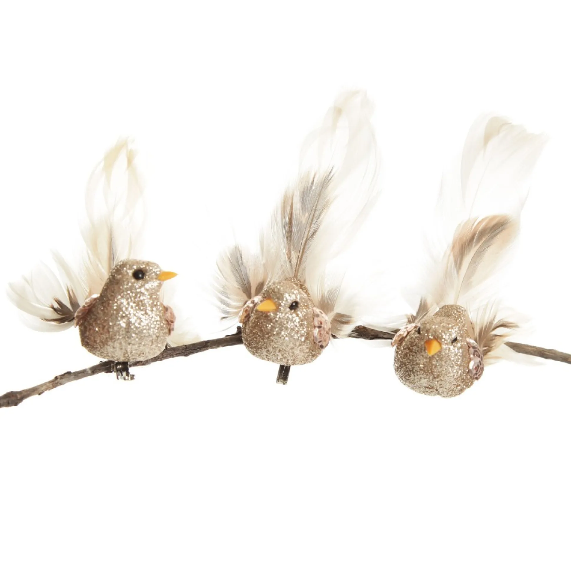Champagne Bird Clip with Feather Tail - Set of 3 Butterflies And Birds|Champagne Bird Clip With Feather Tail - Set Of 3