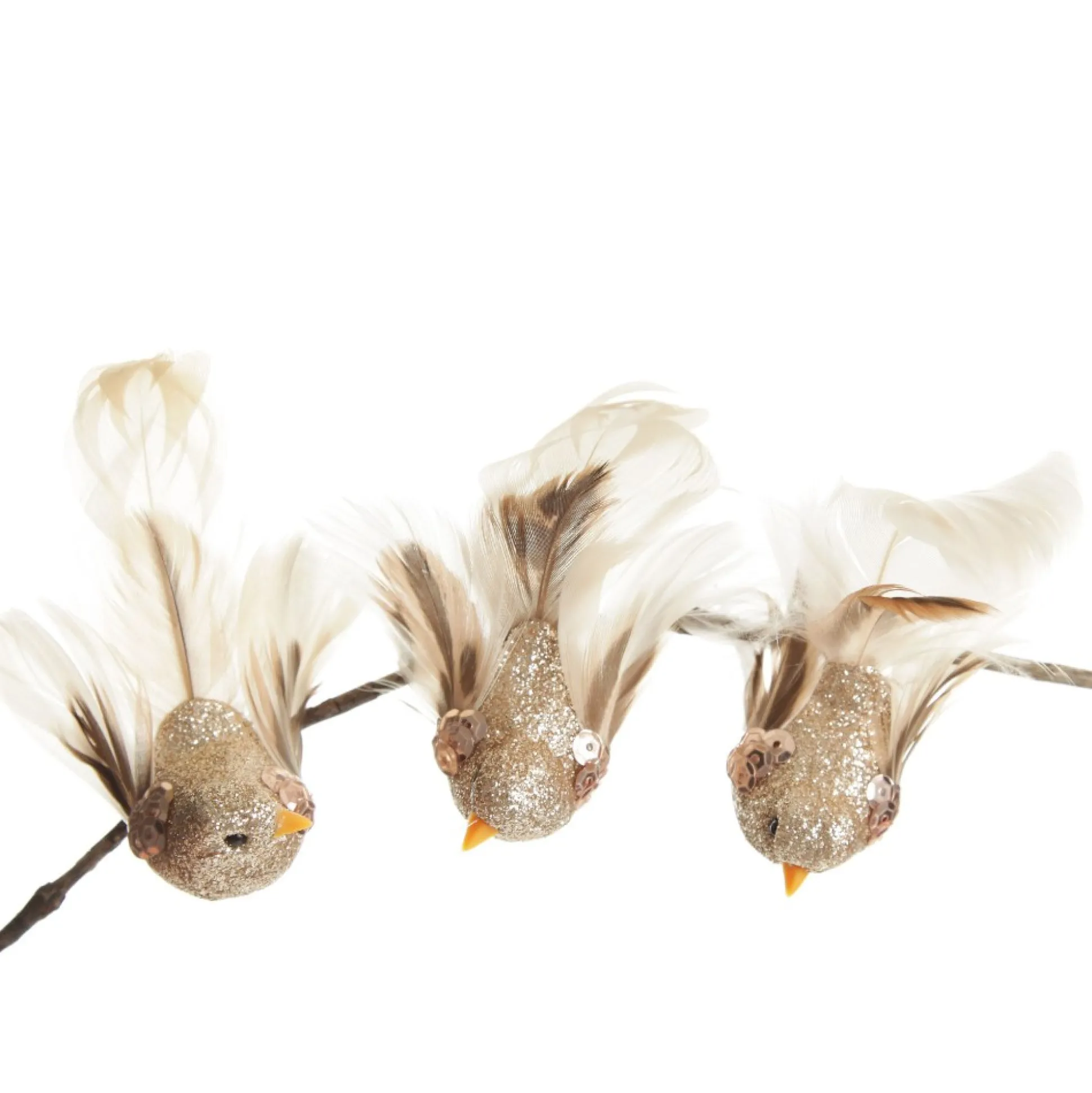 Champagne Bird Clip with Feather Tail - Set of 3 Butterflies And Birds|Champagne Bird Clip With Feather Tail - Set Of 3