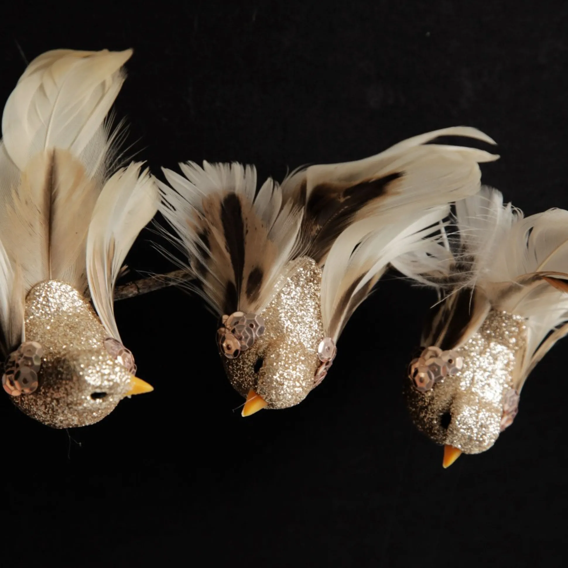 Champagne Bird Clip with Feather Tail - Set of 3 Butterflies And Birds|Champagne Bird Clip With Feather Tail - Set Of 3
