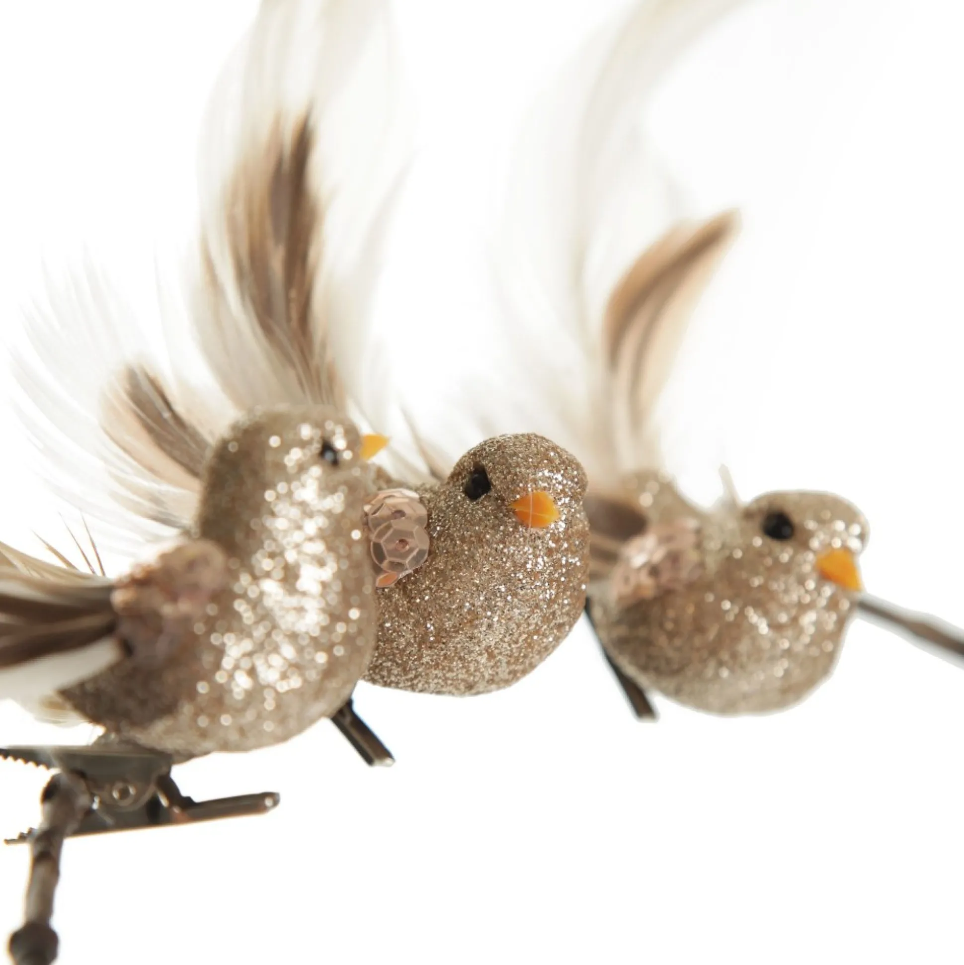 Champagne Bird Clip with Feather Tail - Set of 3 Butterflies And Birds|Champagne Bird Clip With Feather Tail - Set Of 3
