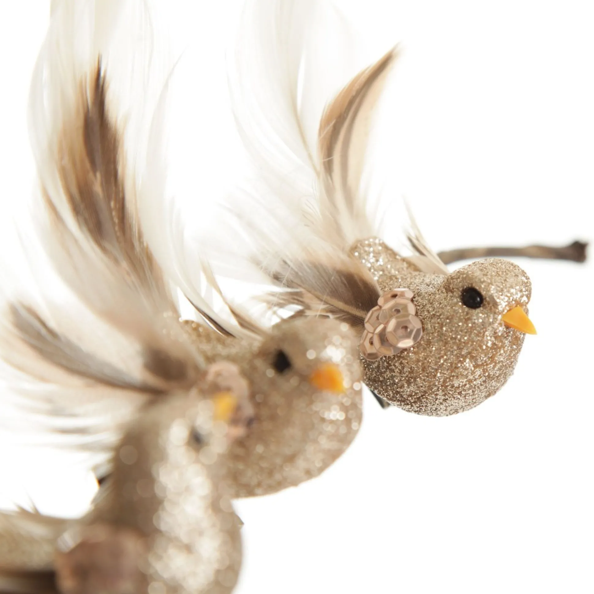 Champagne Bird Clip with Feather Tail - Set of 3 Butterflies And Birds|Champagne Bird Clip With Feather Tail - Set Of 3