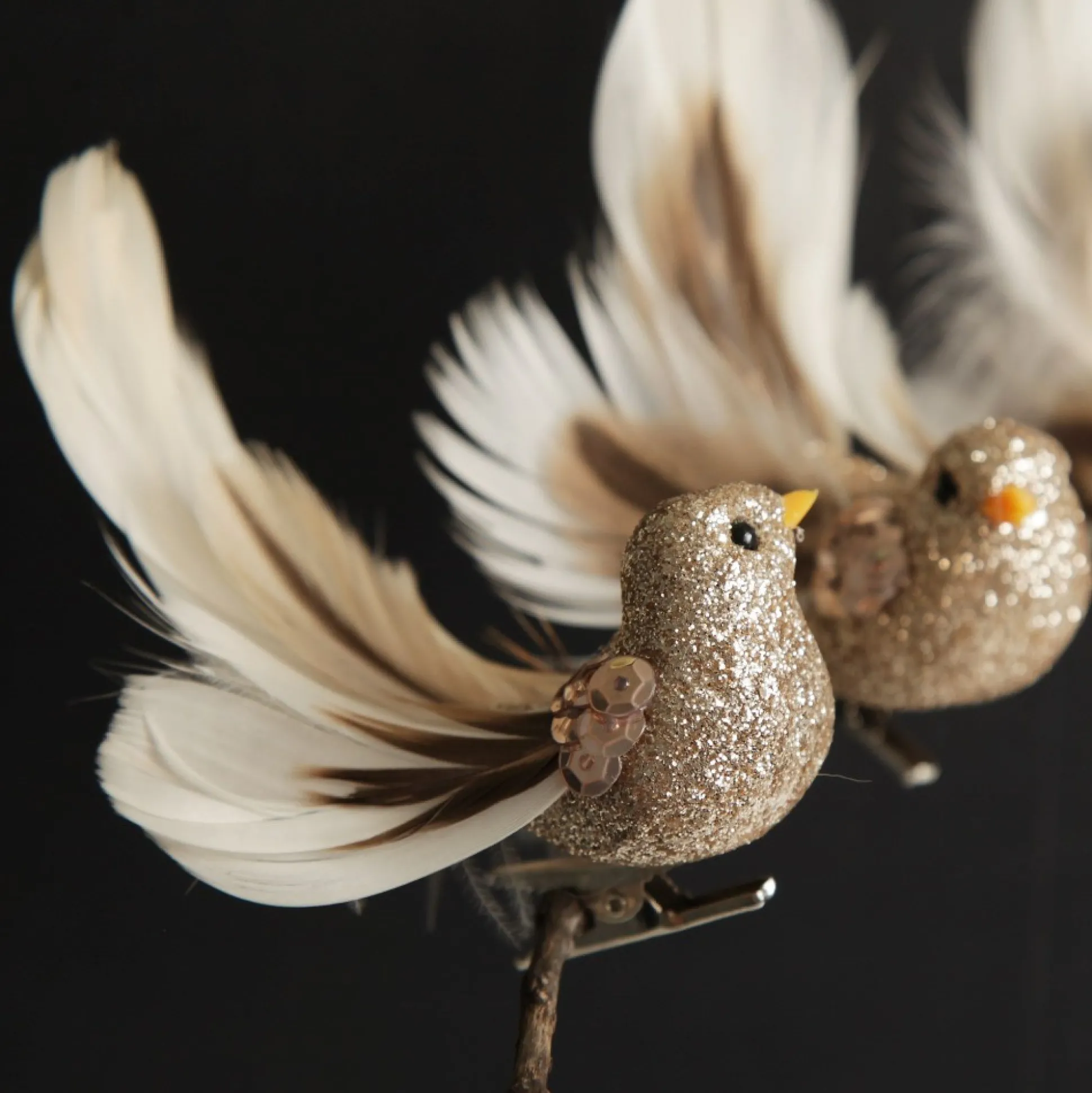 Champagne Bird Clip with Feather Tail - Set of 3 Butterflies And Birds|Champagne Bird Clip With Feather Tail - Set Of 3
