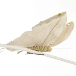 Champagne Butterfly Clip Butterflies And Birds|