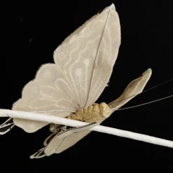 Champagne Butterfly Clip Butterflies And Birds|