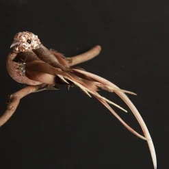 Champagne Pink Bird Clip Butterflies And Birds|