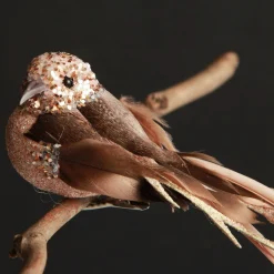 Champagne Pink Bird Clip Butterflies And Birds|