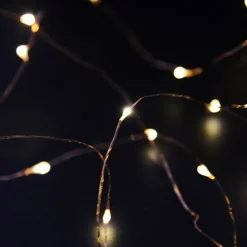 Copper Seed Fairy Lights Fairy Lights|