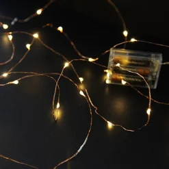 Copper Seed Fairy Lights Fairy Lights|