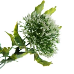 Cream Gumnut Flower Christmas Bush Spray Christmas Sprays|