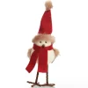 Cute Christmas Bird with Red Hat and Scarf Christmas Birds And Animals|