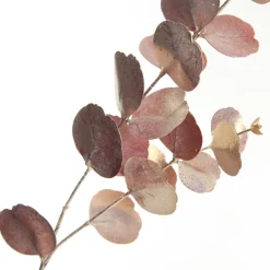 Dusky Pink Round Leaf Eucalyptus Dollar Gum Spray Christmas Sprays|