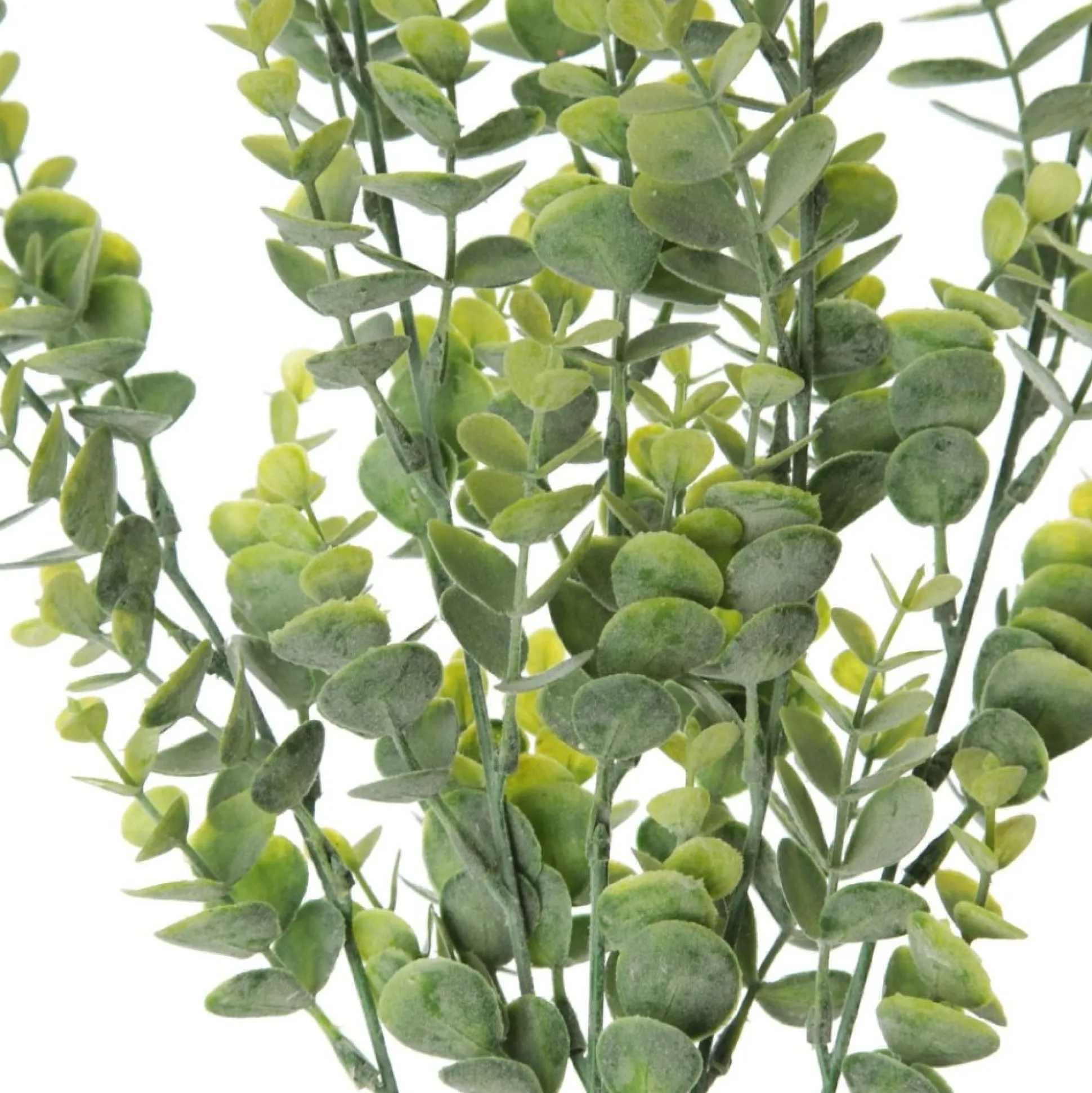 Eucalyptus Bush Spray Christmas Sprays|