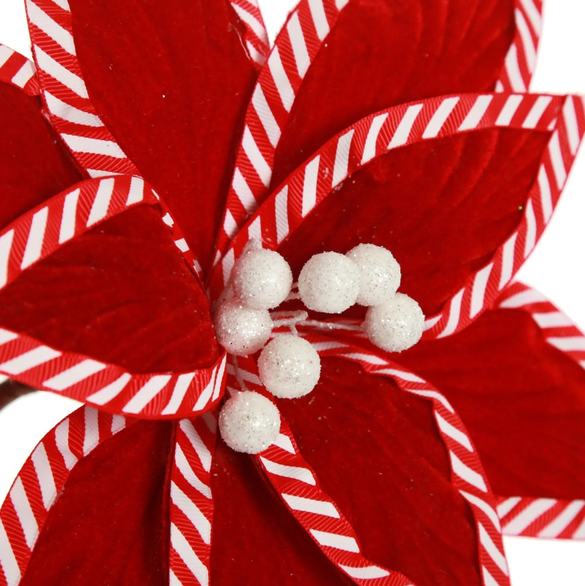 Festive Red Flower Stem with Striped Edge Christmas Flowers|