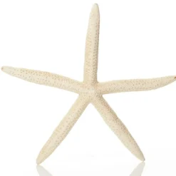 Finger Starfish White Beach Decorations|