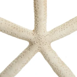 Finger Starfish White Beach Decorations|