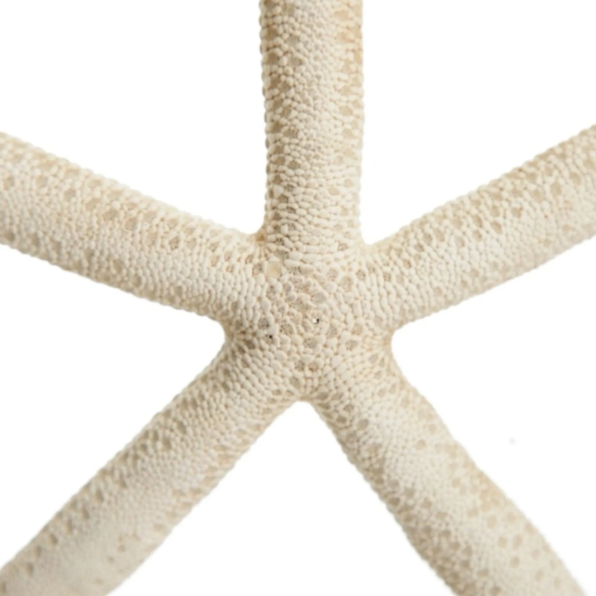 Finger Starfish White Beach Decorations|