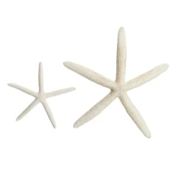 Finger Starfish White Beach Decorations|