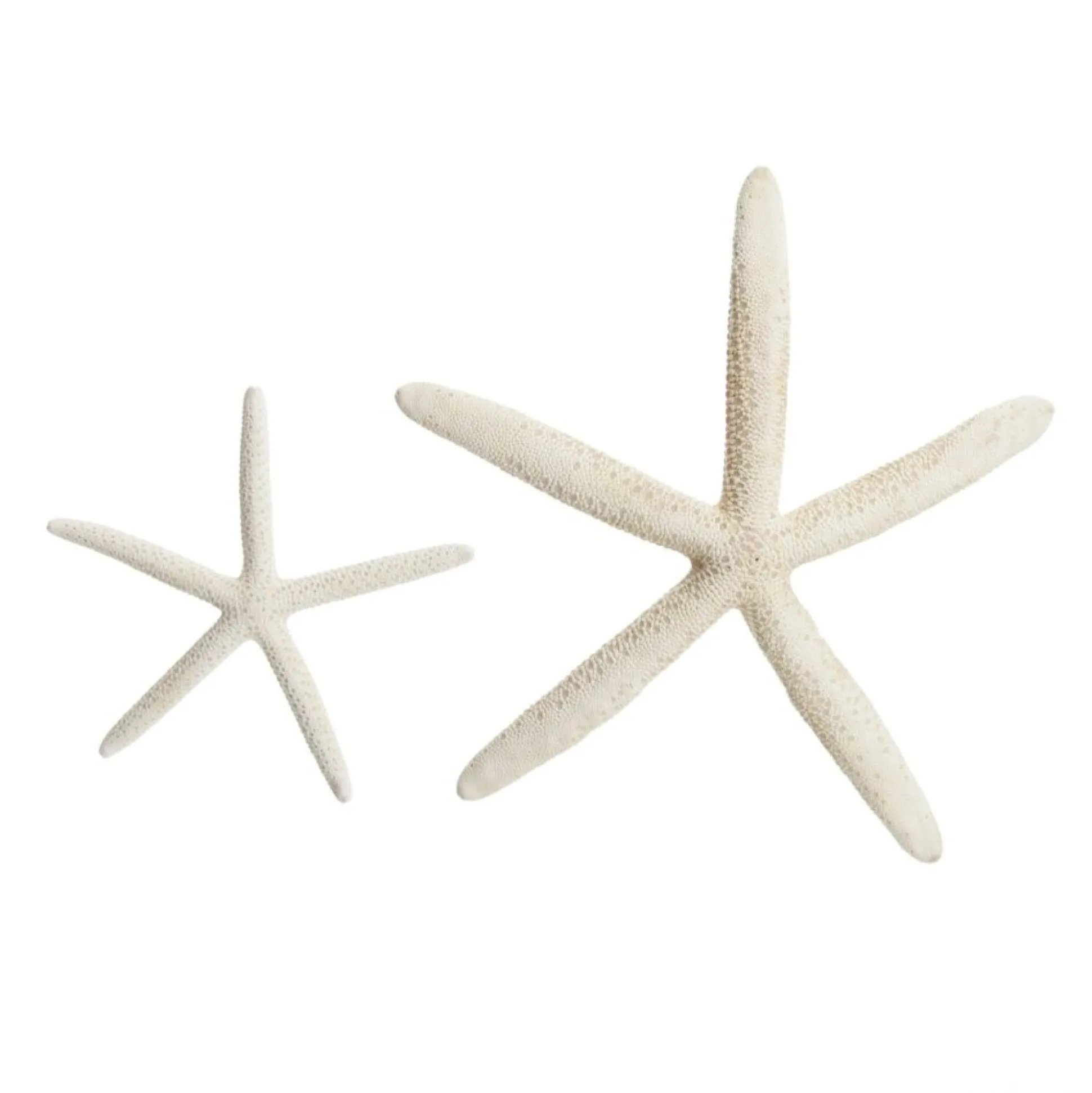 Finger Starfish White Beach Decorations|