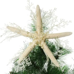 Finger Starfish White Beach Decorations|