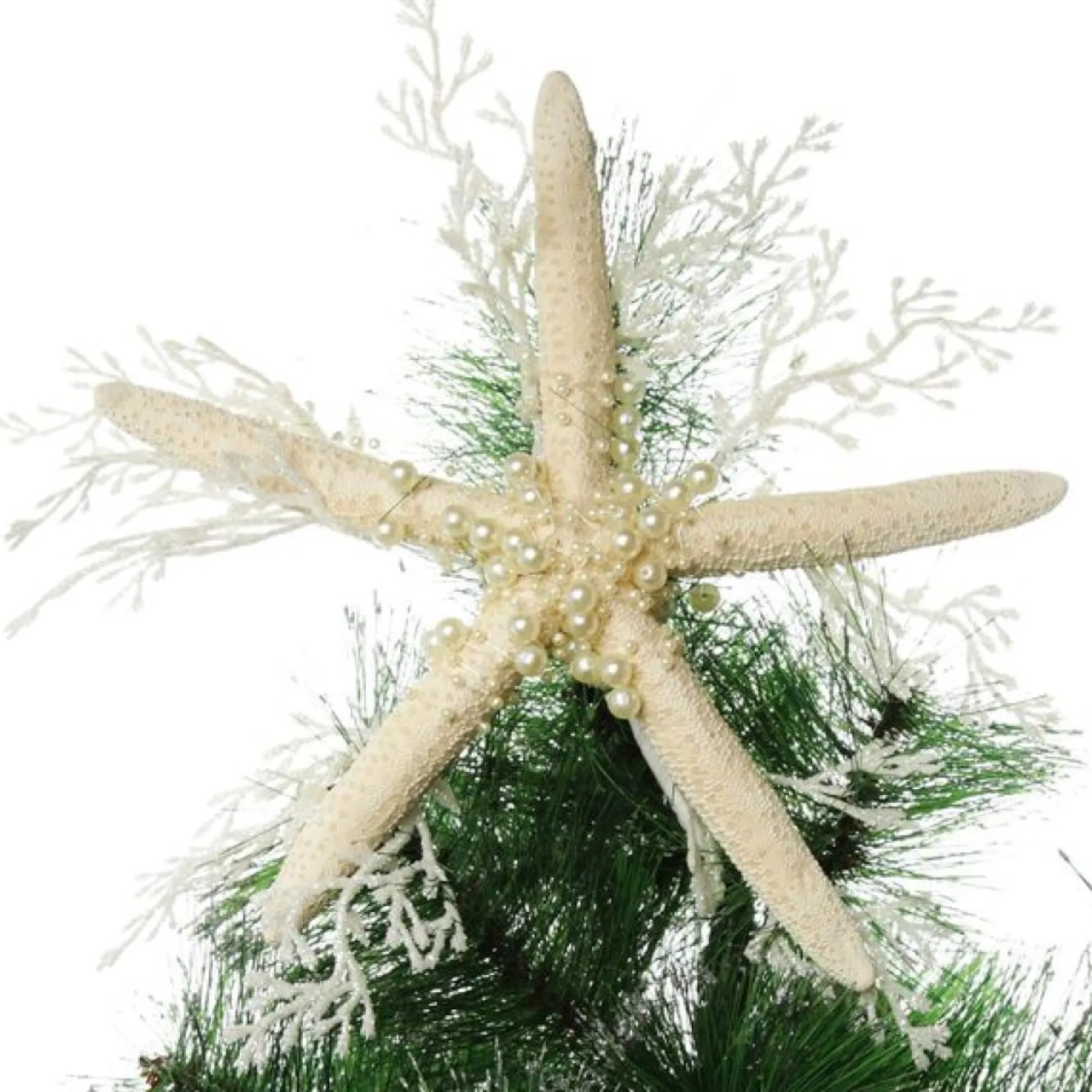 Finger Starfish White Beach Decorations|