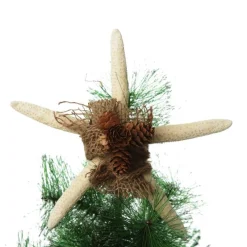 Finger Starfish White Beach Decorations|