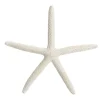 Finger Starfish White Small Beach Decorations|