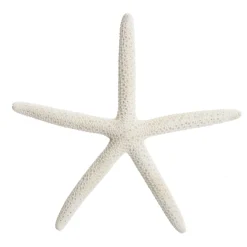 Finger Starfish White Small Beach Decorations|