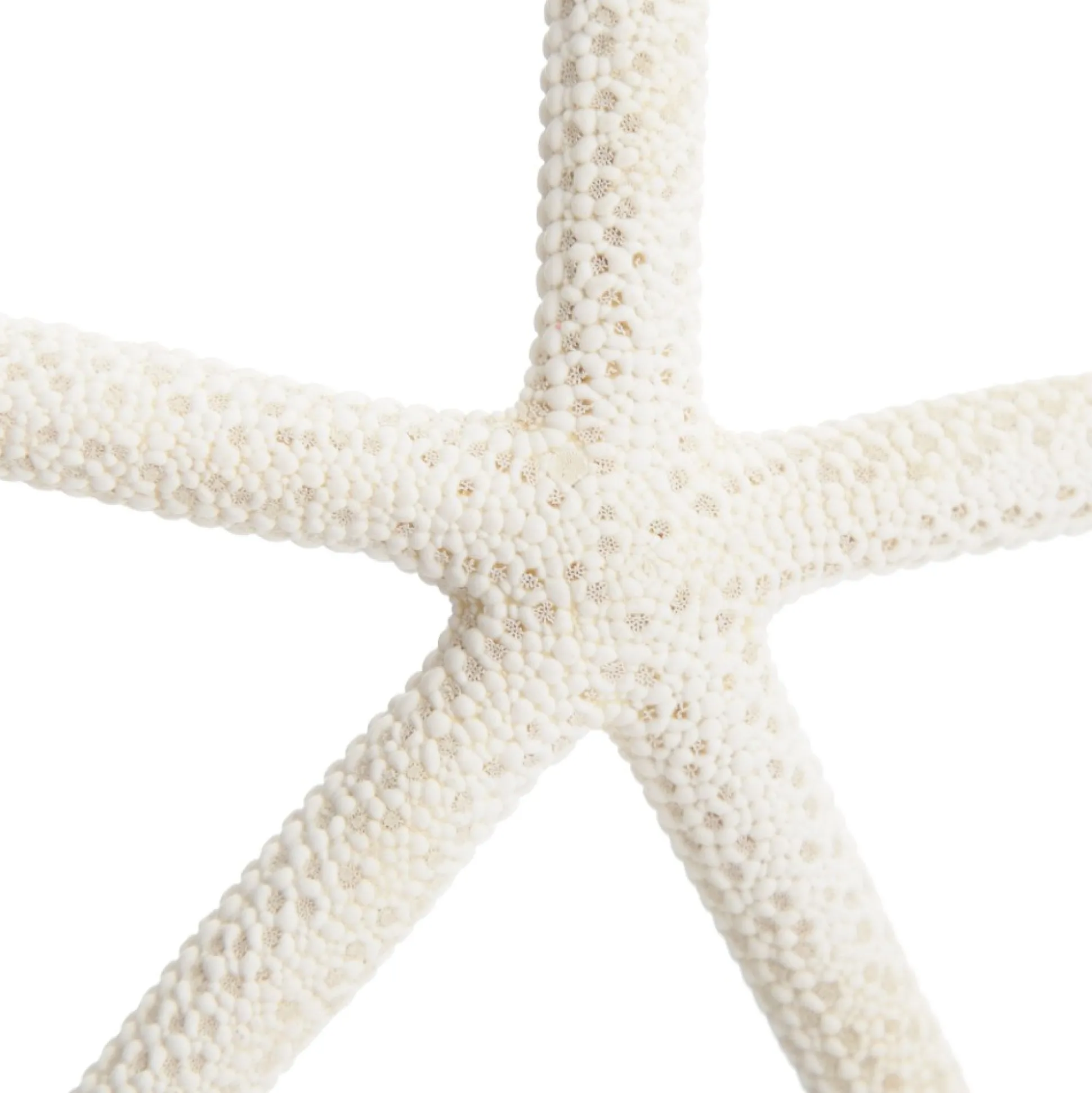 Finger Starfish White Small Beach Decorations|