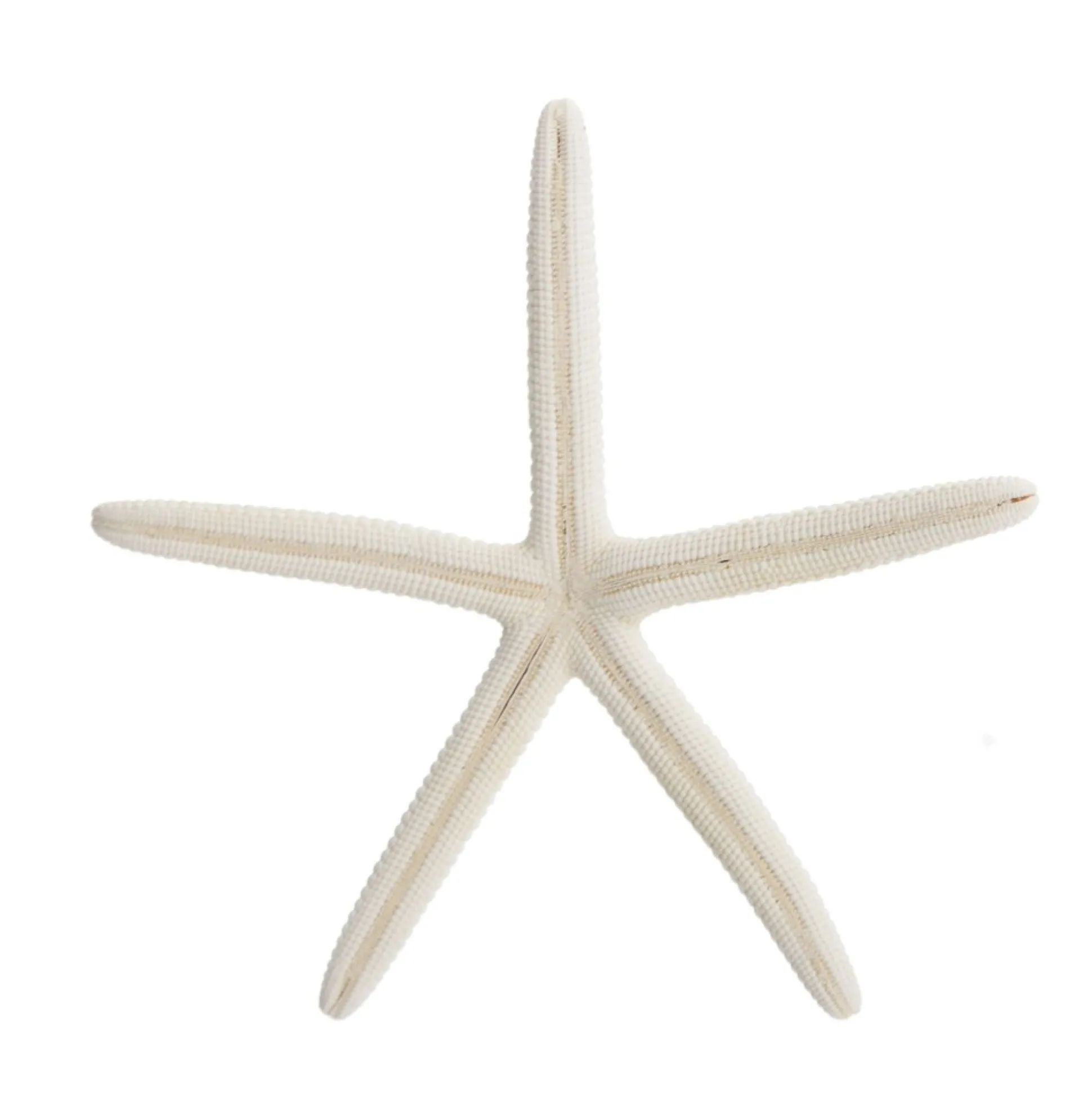 Finger Starfish White Small Beach Decorations|