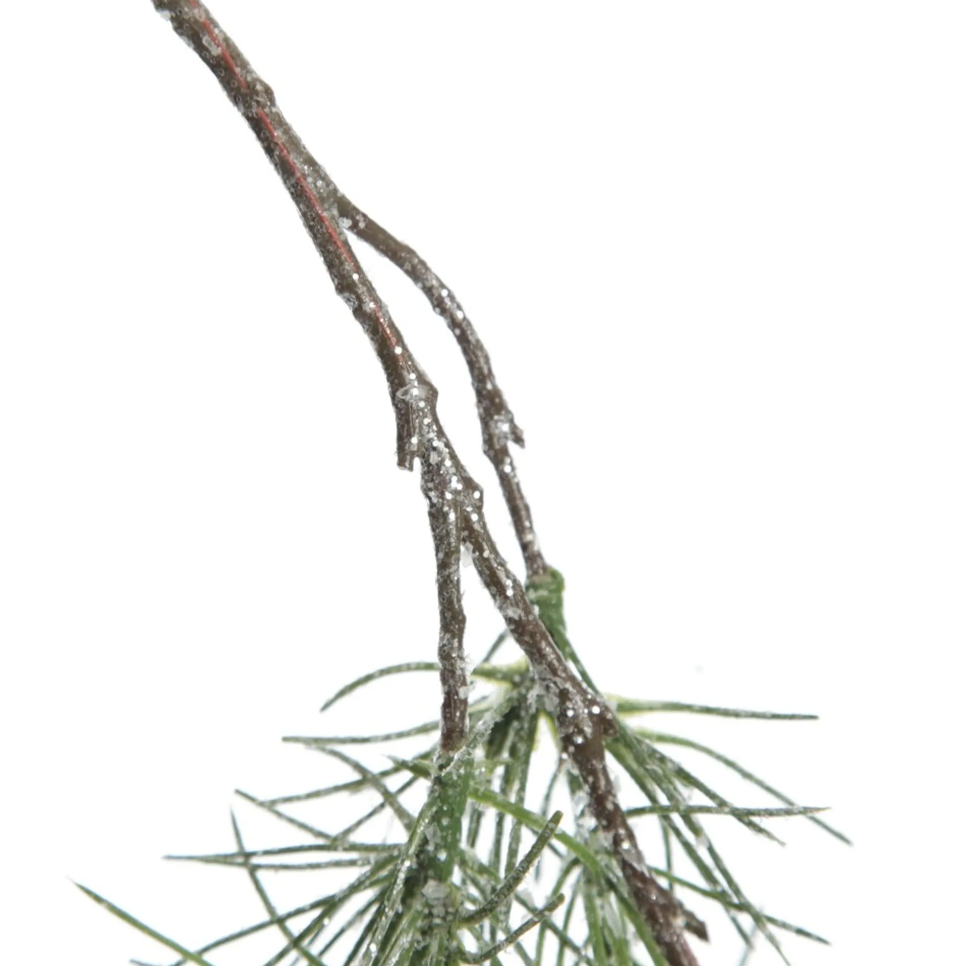 Frosted Pine with Pinecones Hanging Spray Christmas Sprays|