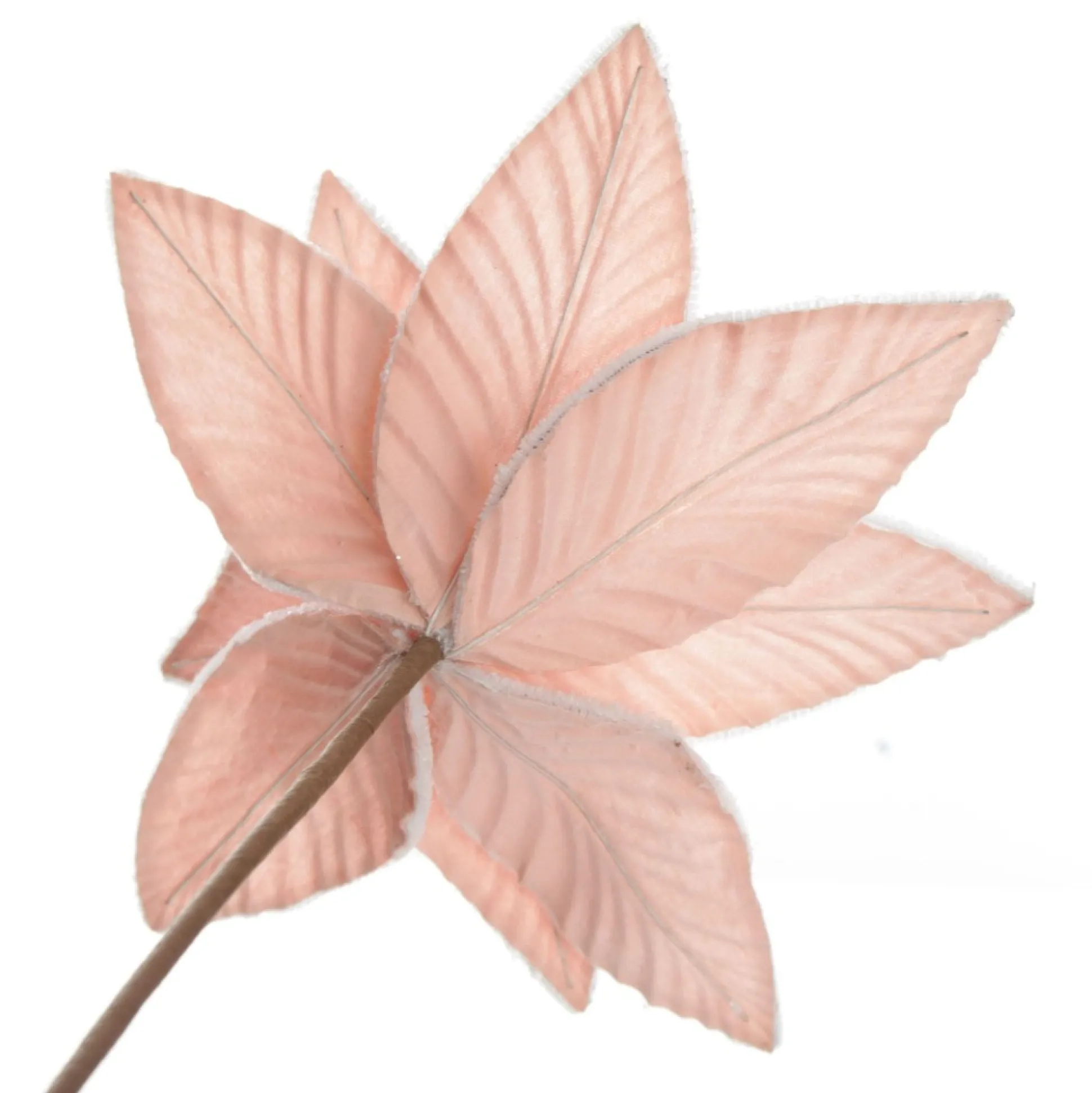 Frosted Pink Flower Clip with White Edge Christmas Flowers|