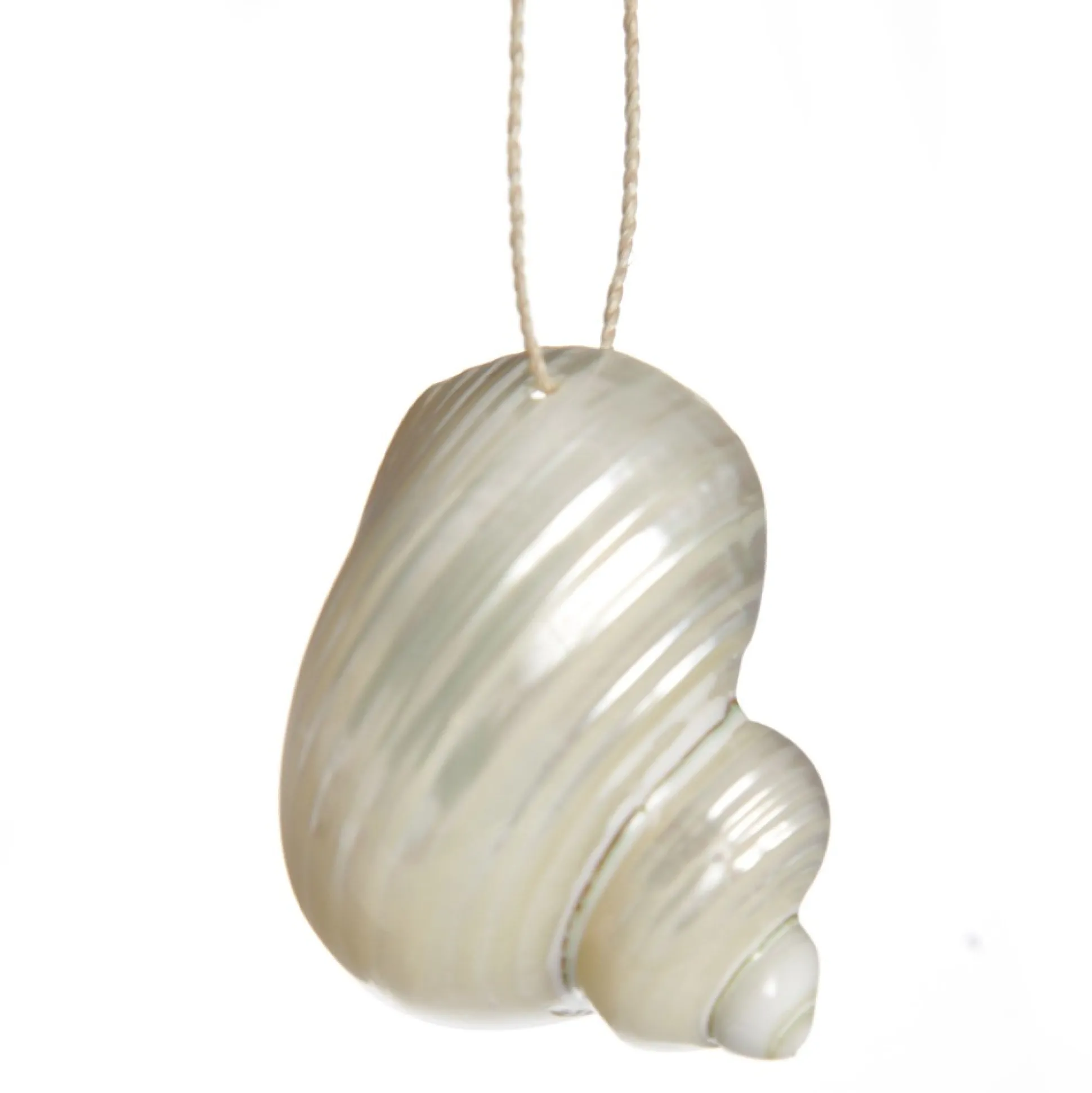 Hanging Silvermouth Shell Tree Decoration Beach Decorations|