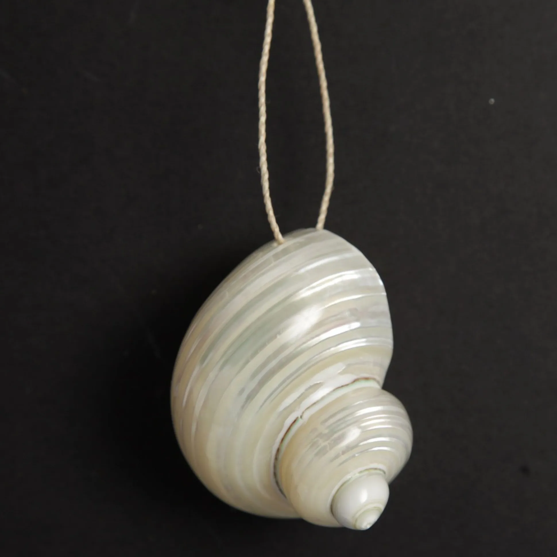 Hanging Silvermouth Shell Tree Decoration Beach Decorations|