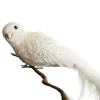 Large Elegant White Bird with Sequins and Feather Tail Butterflies And Birds|