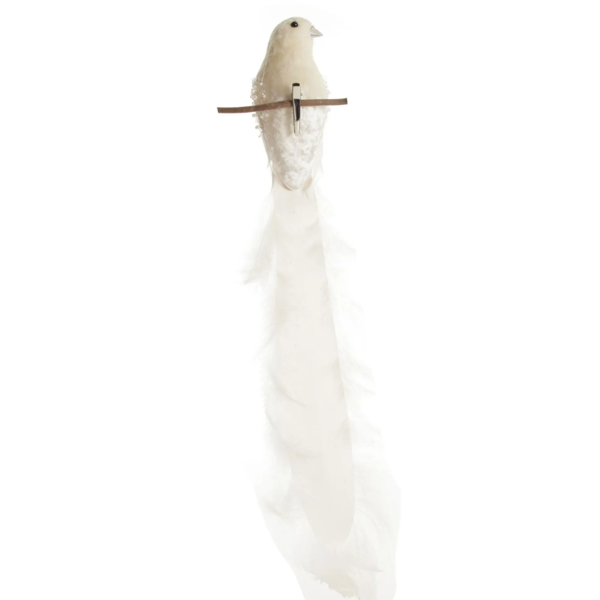 Large Elegant White Bird with Sequins and Feather Tail Butterflies And Birds|