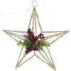 Lightup Champagne Tinsel Wire 3D Star Tree Topper with Cone and Berry Tree Toppers|