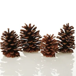 Medium Natural Real Pine Cones - Pack of 4 Pinecones And Acorns|