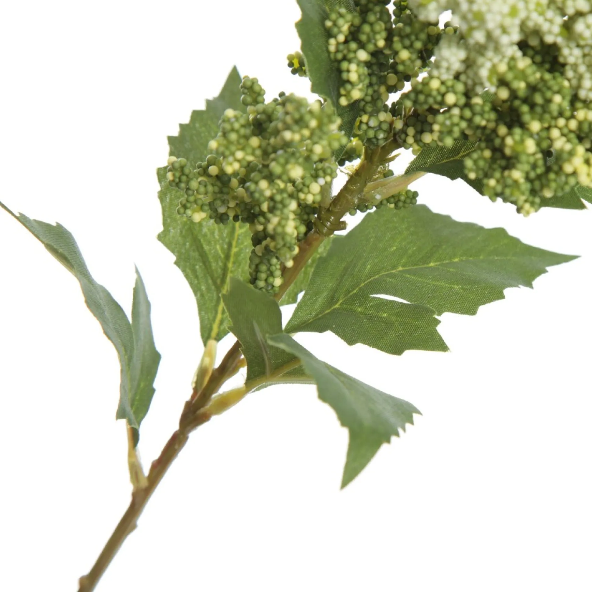 Mini Berry Native Bush Christmas White Berry Spray Christmas Sprays|