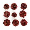 Mini Red Glitter Tipped Natural Pincones - Pack of 9 Pinecones And Acorns|