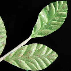 Mint Green Glitter Leaf Spray Christmas Pick|