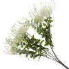 Native Cream Pincushion Protea Flower Spray Christmas Flowers|