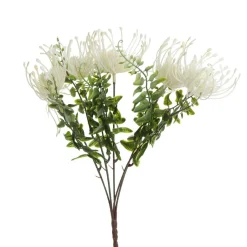 Native Cream Pincushion Protea Flower Spray Christmas Flowers|