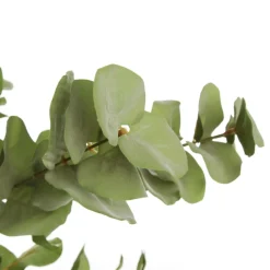 Native Eucalyptus Leaf Spray Christmas Sprays|