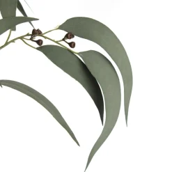 Native Eucalyptus Leaf Spray with Gumnuts Christmas Sprays|