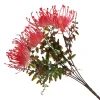 Native Red Pink Pincushion Protea Flower Spray Christmas Flowers|