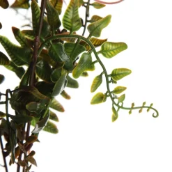 Native Red Pink Pincushion Protea Flower Spray Christmas Flowers|